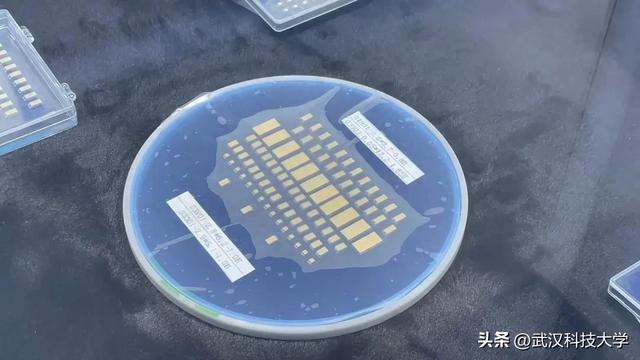 武科大团队七年磨一剑！“毫米级” 芯片精度远超日本同行