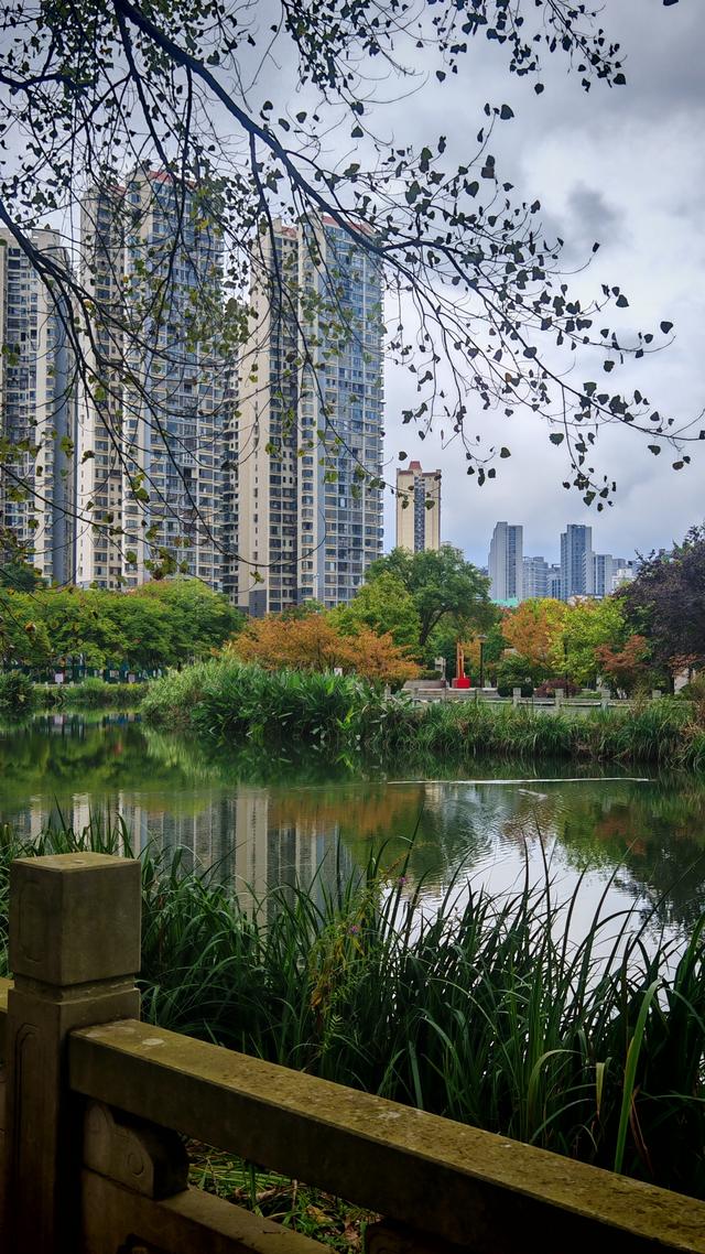 初心莫负游戏攻略（如梦令·莫负初心）