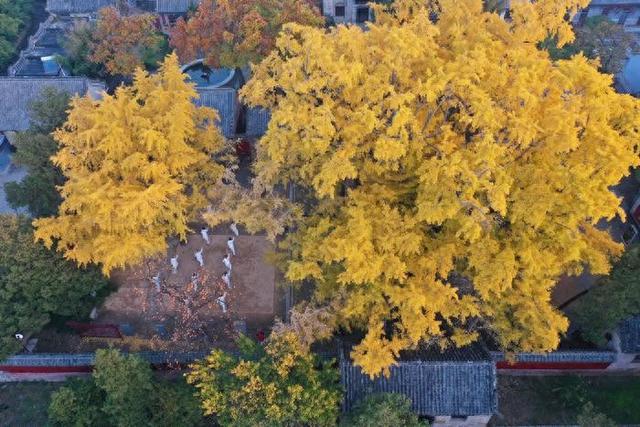 从山海古城到青春乐场，日照的滨海文旅破圈之路