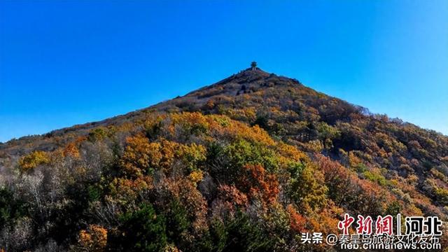 秦皇岛：长城秋景如画