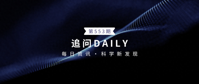 追问daily|认知训练能让大脑变大吗？AI越智能越自私？