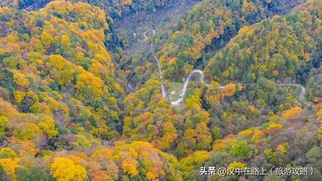 多图实拍！这才是汉中的秋日顶流！