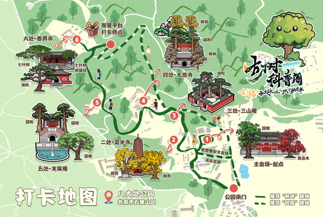 古树年轮里的故事，石景山等您来赴约