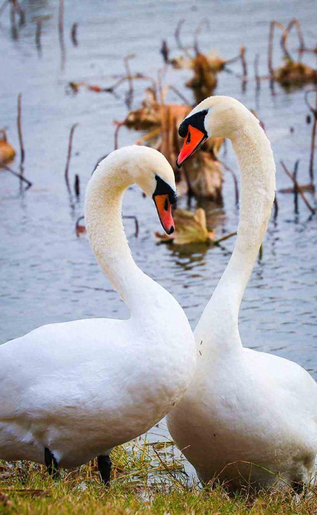 邂逅初冬！漫步郑州，在色彩斑斓中行走