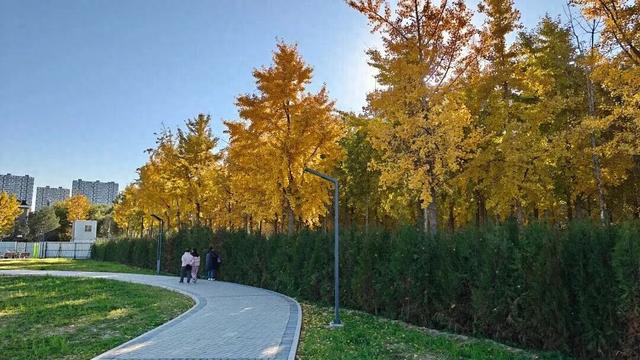 美翻了！丰台这些“秋季限定”进入倒计时→