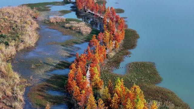 冬季凤仪湾引客来 多元玩法解锁湿地乐趣