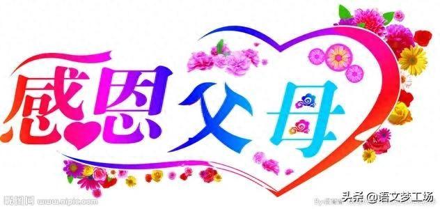 我学会了感恩作文（2021优秀作文专辑我懂得了感恩）