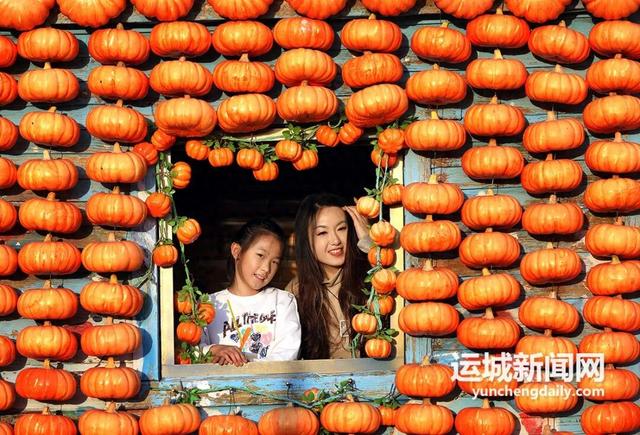 野趣“南瓜节” 等你来打卡