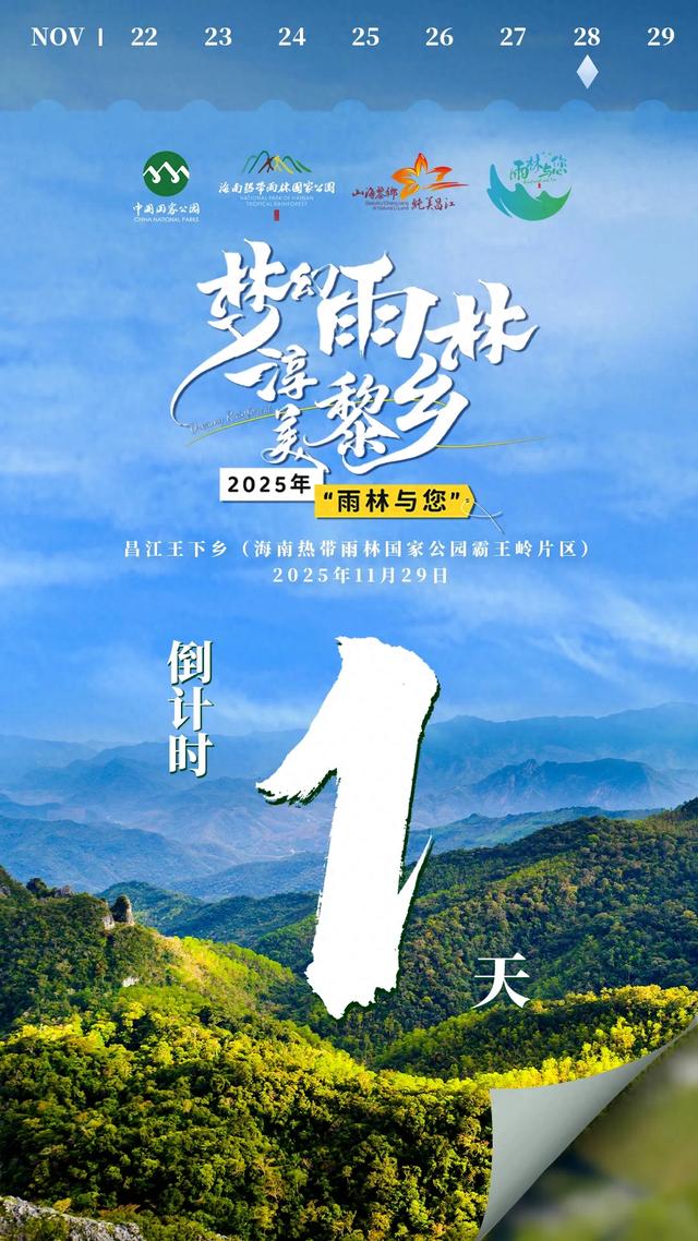 倒计时1天！“梦幻雨林·淳美黎乡”，2025年“雨林与您”体验活动主会场演出即将11月29日启幕！