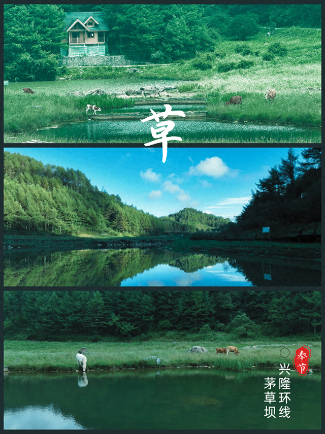 朋友圈都问疯了，真不是国外，这是22℃的奉节！