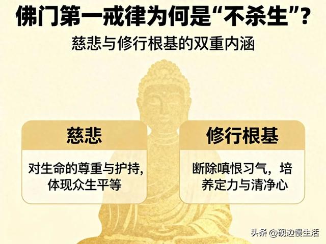 杀生最后的秘密是什么（佛门第一戒律为何是不杀生这不仅是慈悲）