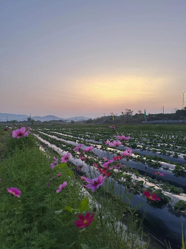 从化漫游记:撞见广州最温柔的落日与烟火