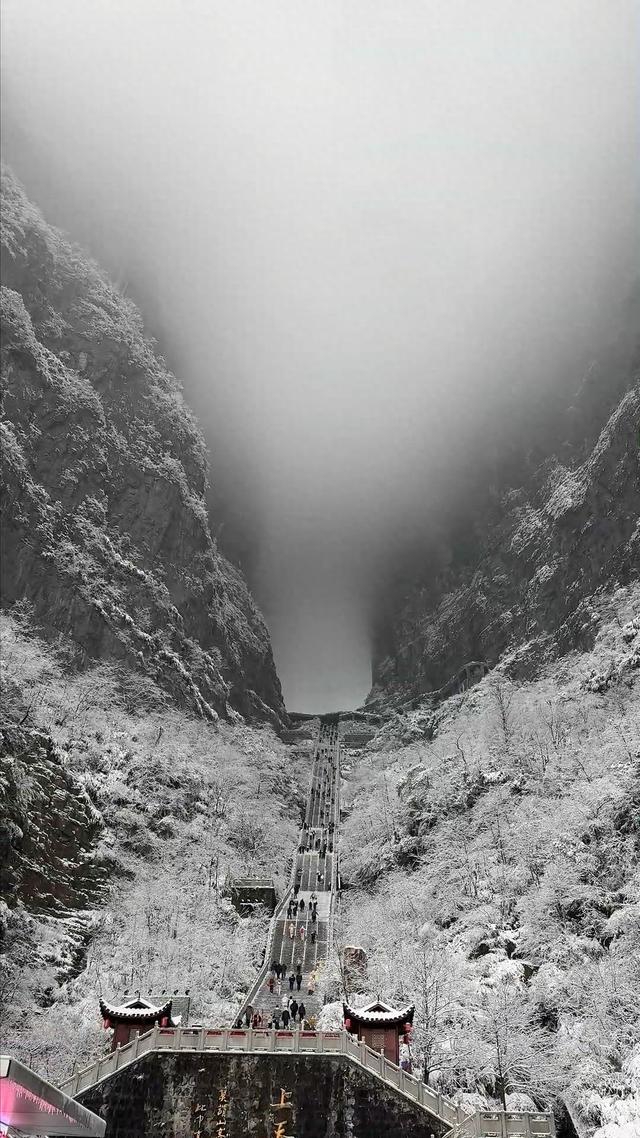 南方人看雪有多拼？“明天有雪”让景区游客翻了20倍|文体视点