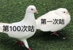 一旦试过这7个邪门妙招，新年flag就不会倒