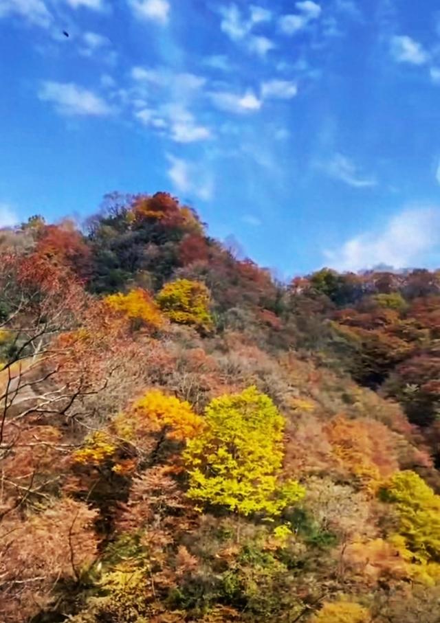 秋色最美光雾山