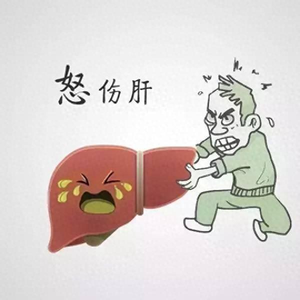 逍遥丸治好甲状腺结节 2026年逍遥丸治甲状腺结节吗