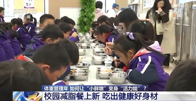 养成手册破解版游戏（为小胖墩开处方 各地中小学解锁定制版活力养成手册）