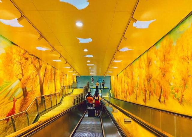 下周喜提三天假，出行计划安排了吗？