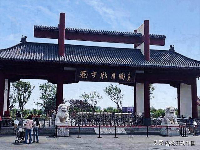 菏泽冠宇牡丹园：从“小种植园”到“大产业圈”的3A巨变