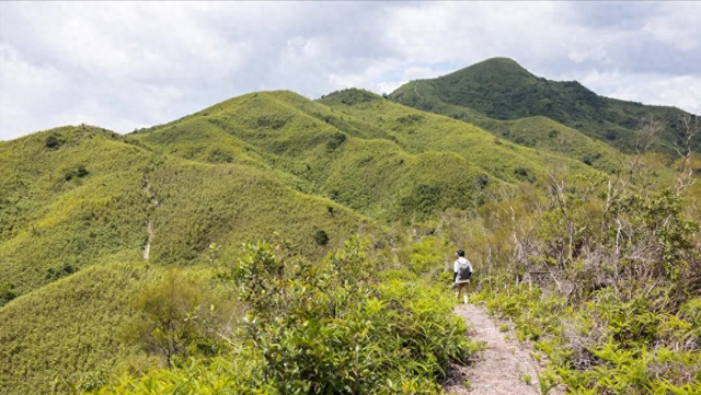 轻信亲子网红路线，6个家庭16人徒步东都岭失联，最小仅6岁