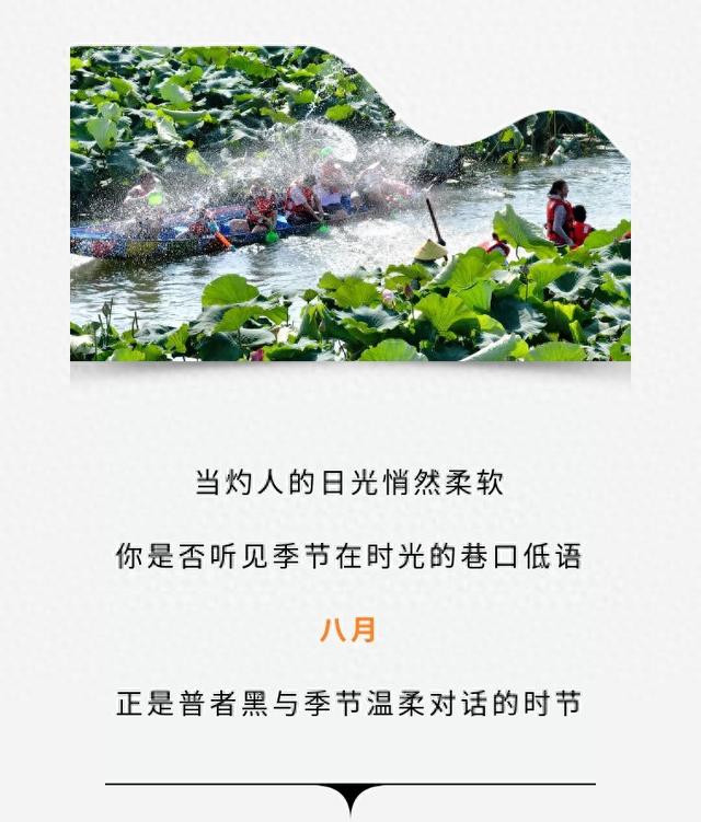 八月｜是夏天最后的浪漫请柬