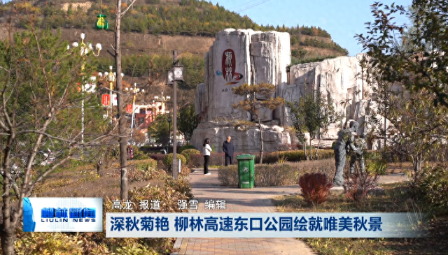 深秋菊艳 柳林高速东口公园绘就唯美秋景