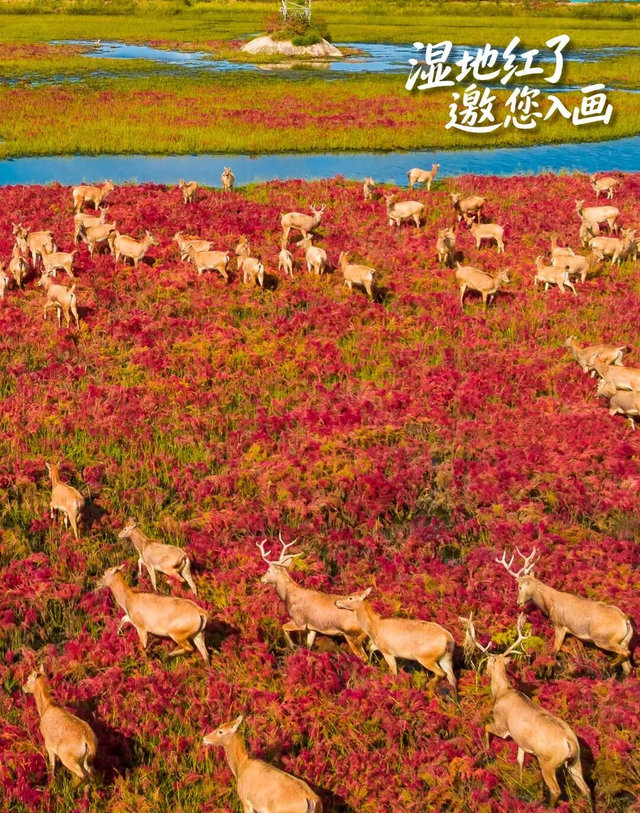 总要来一次东方肯尼亚吧！