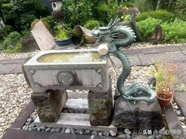 晓 薇：在日本寺院小住