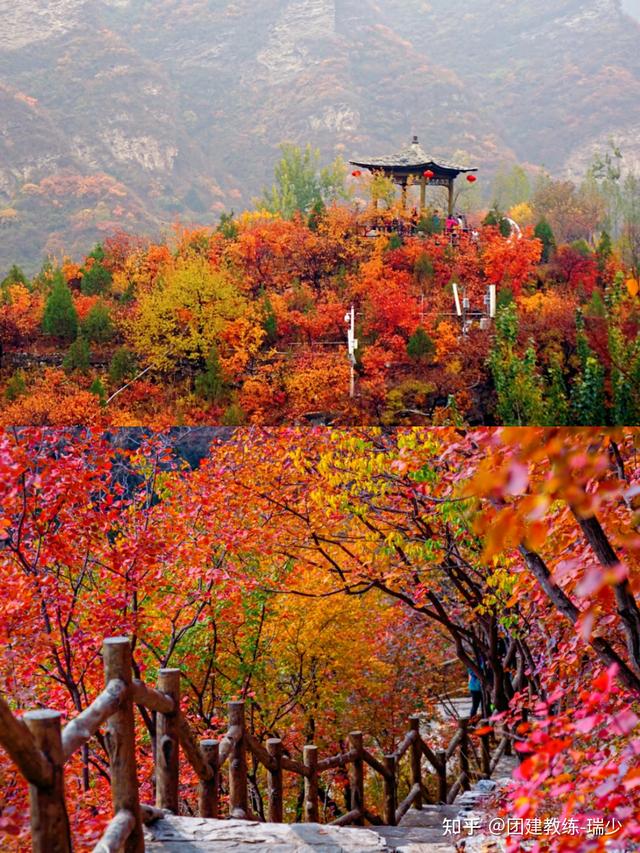 北京披峰岭（红枫叶）