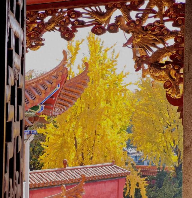 徒步解锁双重秘境，老街烟火与洲岛荒野一键get