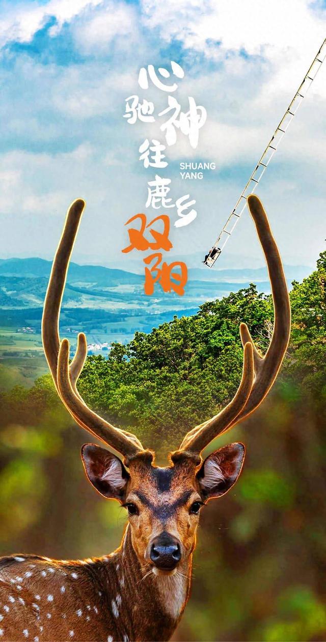 免费！旅游大巴就位！看完航空展开逛~