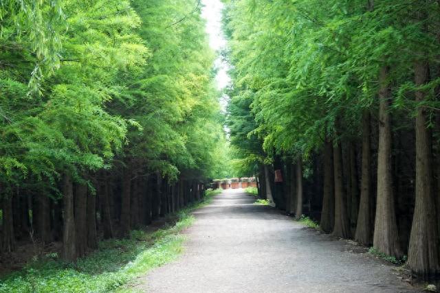 男人跟你吵架后，之所以敢不低头，不道歉，就是抓住了这三个软肋