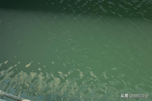 走进青岛海军博物馆：在涛声中感受海军历史与辉煌（七）