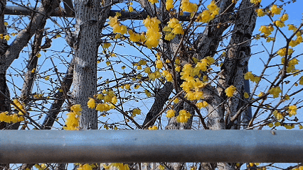 快看！奉城惊现罕见景致→