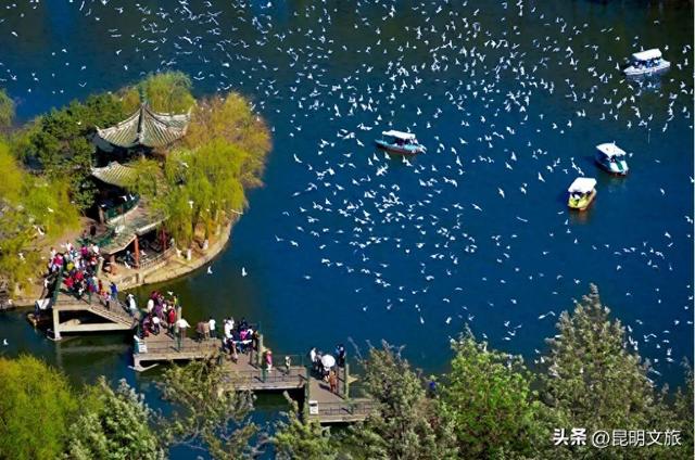 赢麻了！昆明寒假+春节民宿预订“双响炮”， 双双杀入全国TOP10！