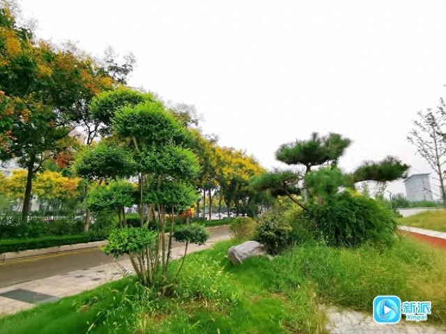 “潍”美游园 “坊”间探幽