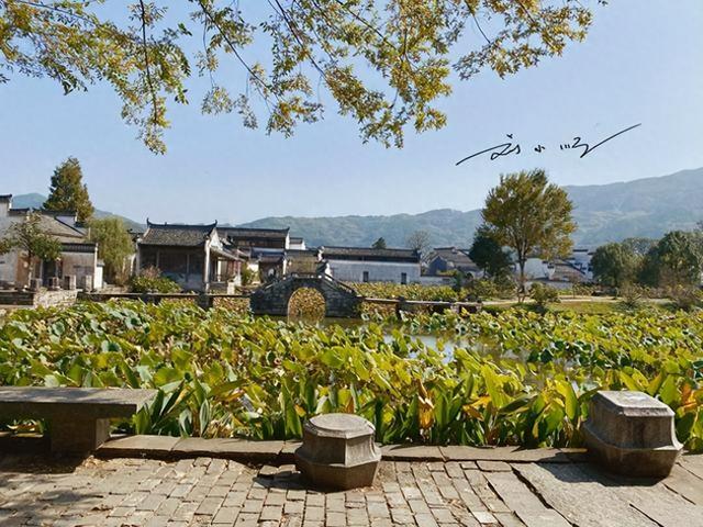 到了“黄山”却没到黄山？安徽这座城市的地名，让游客直呼绕晕了