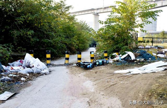 郑州：高铁公园这些共享电动车谁扔的