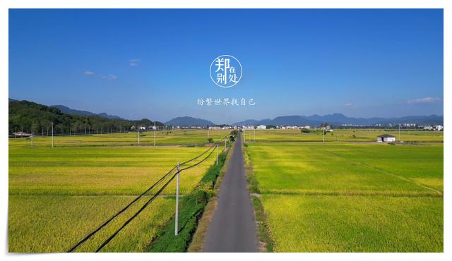 两天一夜，田园与古镇，富春山居，小众清新