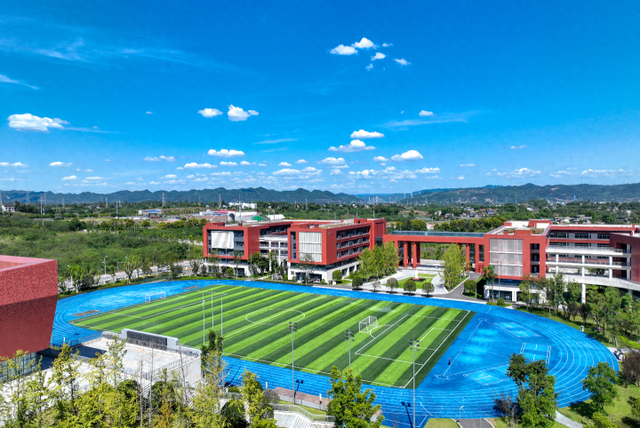 九龙坡区网站优化（市民眼中的九龙坡之变全域统筹发力 筑牢义务教育优质均衡硬支撑）