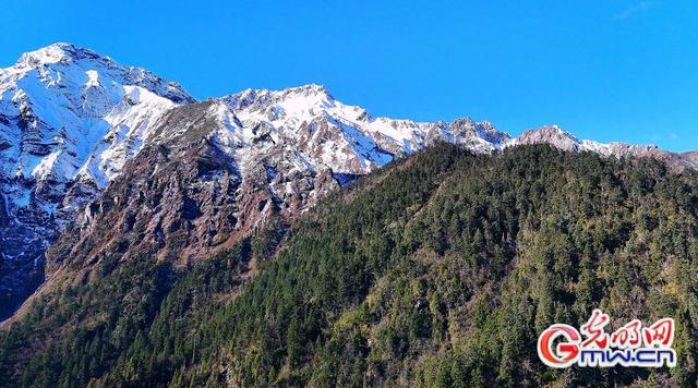 美丽中国｜秋染王朗：雪山与彩林同框