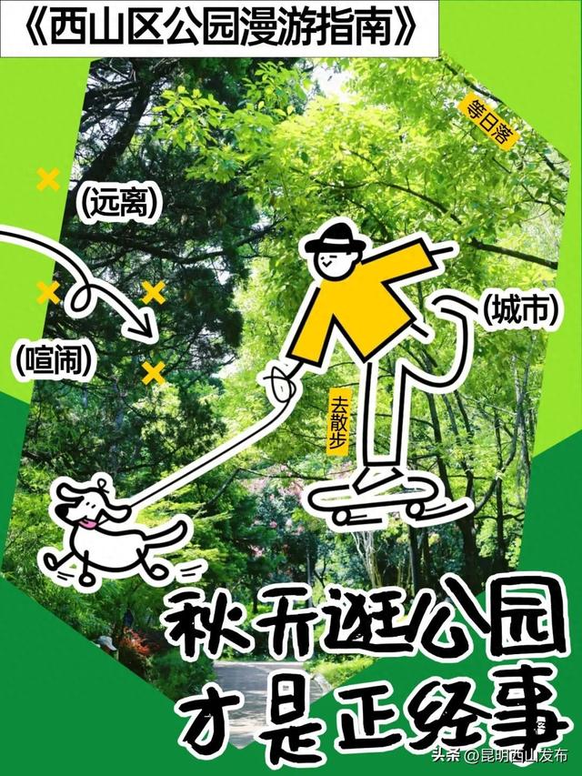 太仙啦！西山秋日必逛的宝藏公园，第一个就“美到心巴”