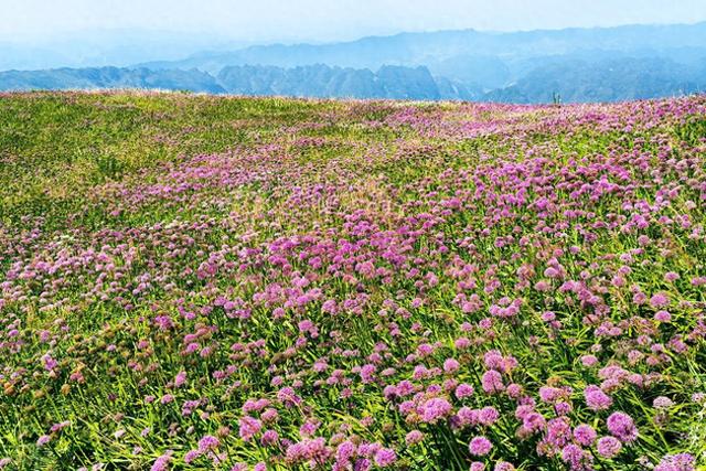 9月最适合去的8个旅行地，秋景绚烂，色彩浓烈