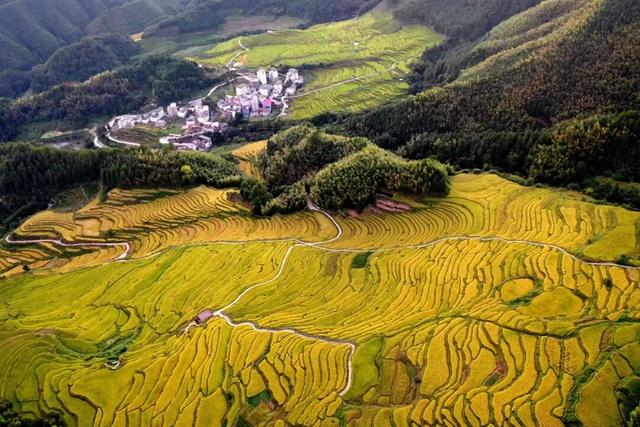 梯田、银杏、枫叶……跟着广东旅游文化节打卡清远“限定”美景