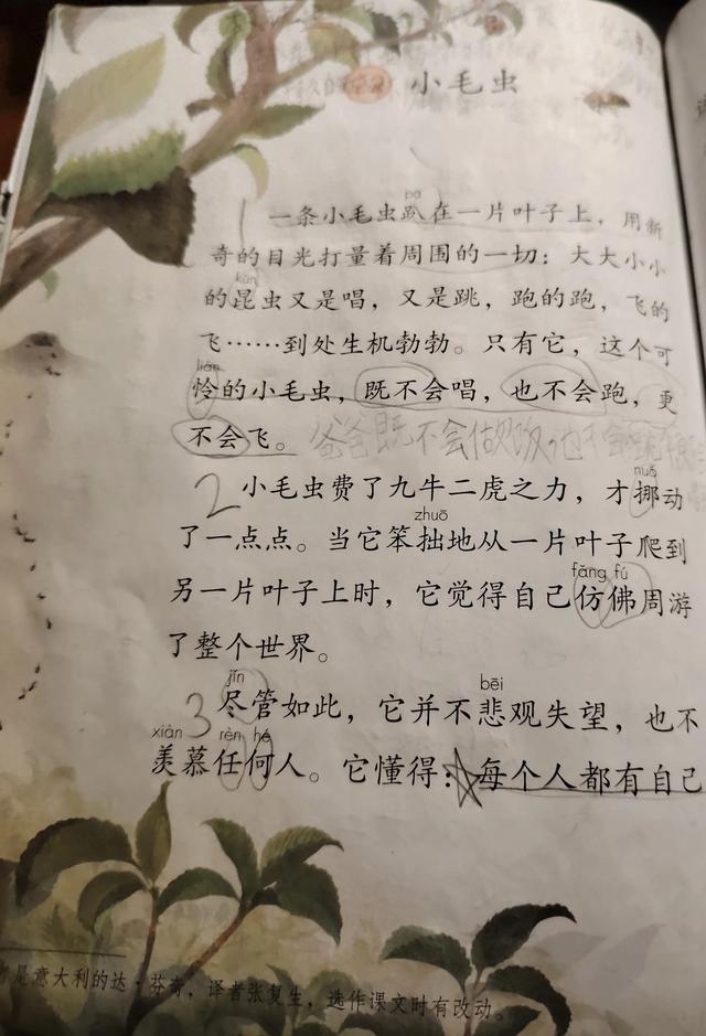 小毛虫告诉我们什么道理（小毛虫的启示）