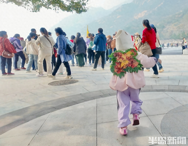 崂山太清“拾叶成趣”：一片彩叶，定格限定浪漫