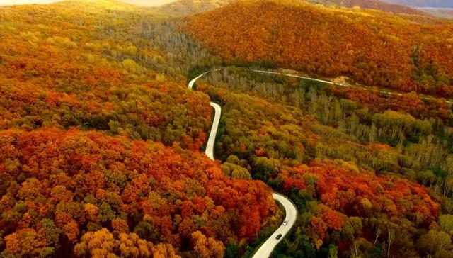 初雪与红枫共舞:11月自驾G331国道,探秘中朝边境的限定美景 初雪与红枫共舞:11月自驾G331国道,探秘中朝边境的限定美景