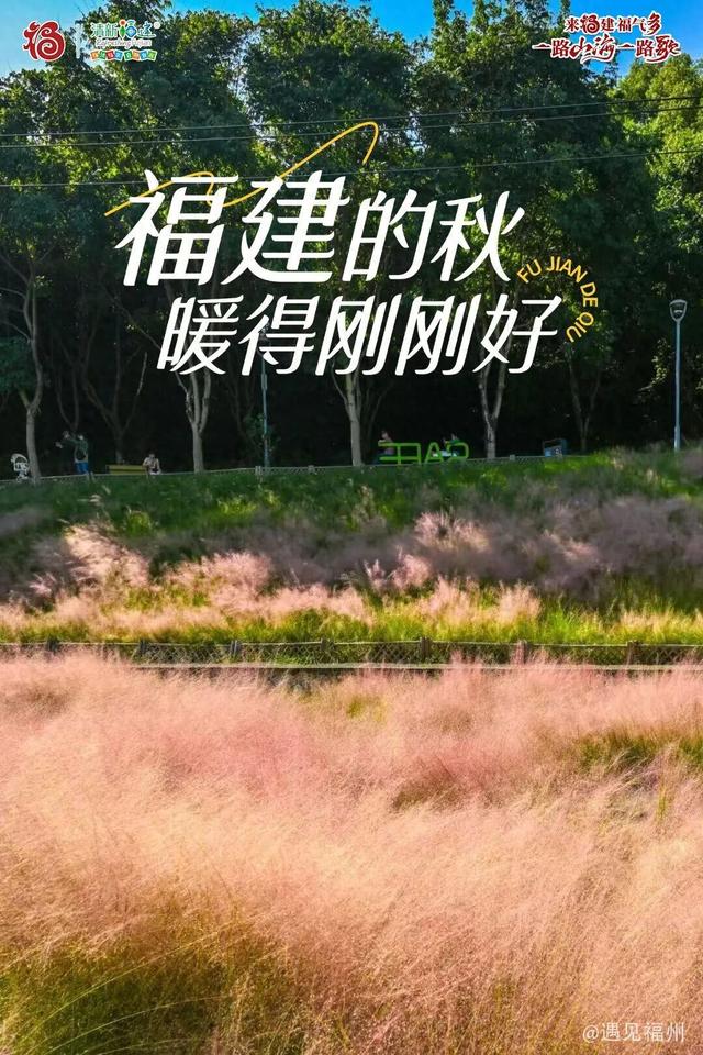 福建的秋，暖得刚刚好！
