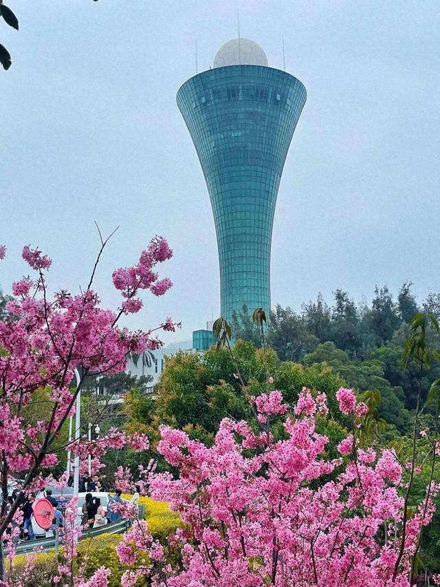 七律 · 游狐尾山公园