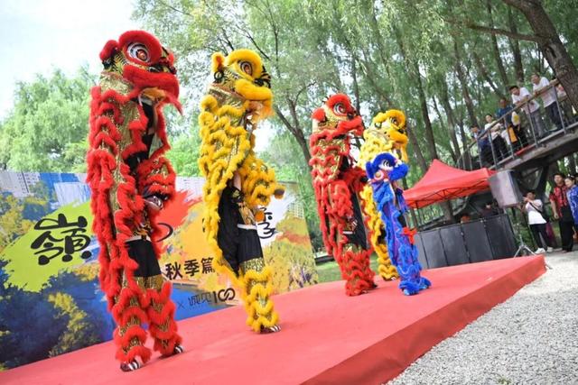 市集、音乐会、杂技秀……上周末，这俩地方都去过的举手~